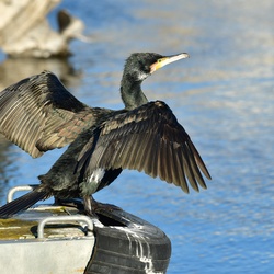2026-01-08 Brandenburg an der Havel/Stadt/DSC_2266.JPG